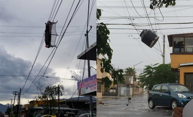 Viento deja árboles y postes caídos en Área Metropolitana; se lleva hasta un trampolín