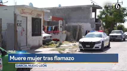 Telediario noticia La madre de familia resultó lesionada, así como sus cuatro hijos el pasado 11 de julio en la colonia Real de San Felipe.