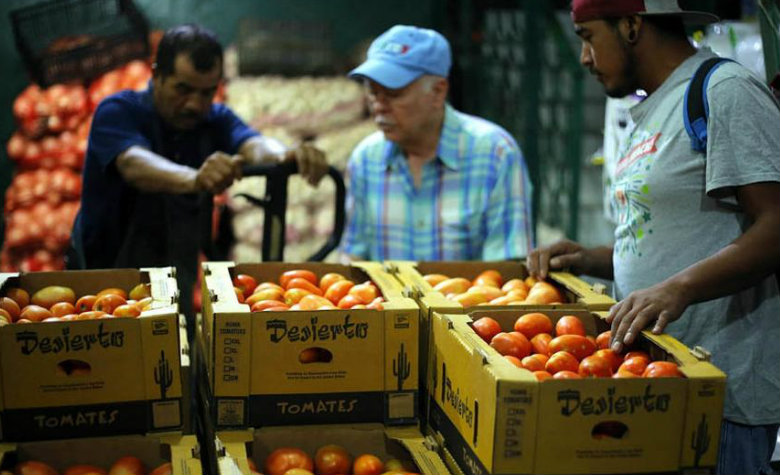 Productores de jitomate prevén acuerdo con Estados Unidos esta semana