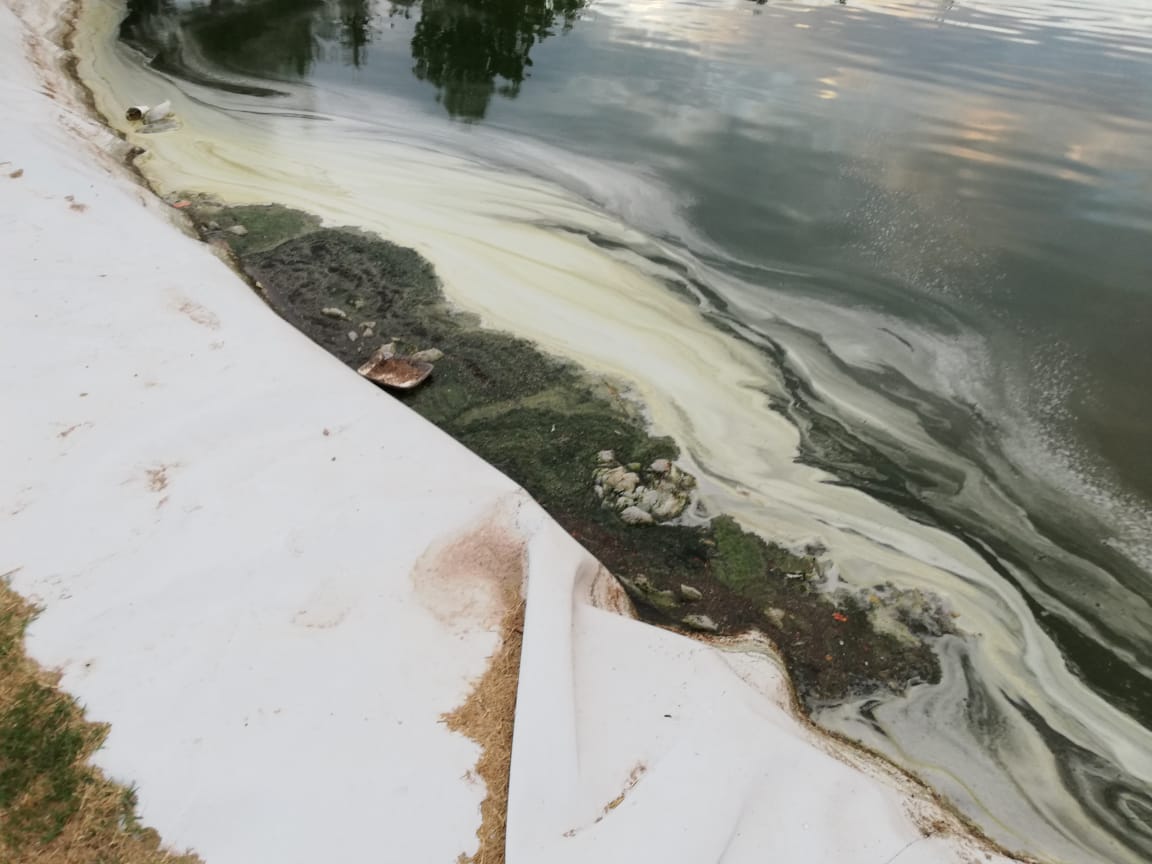Instalaciones del Bosque Urbano comienzan a sufrir deterioro