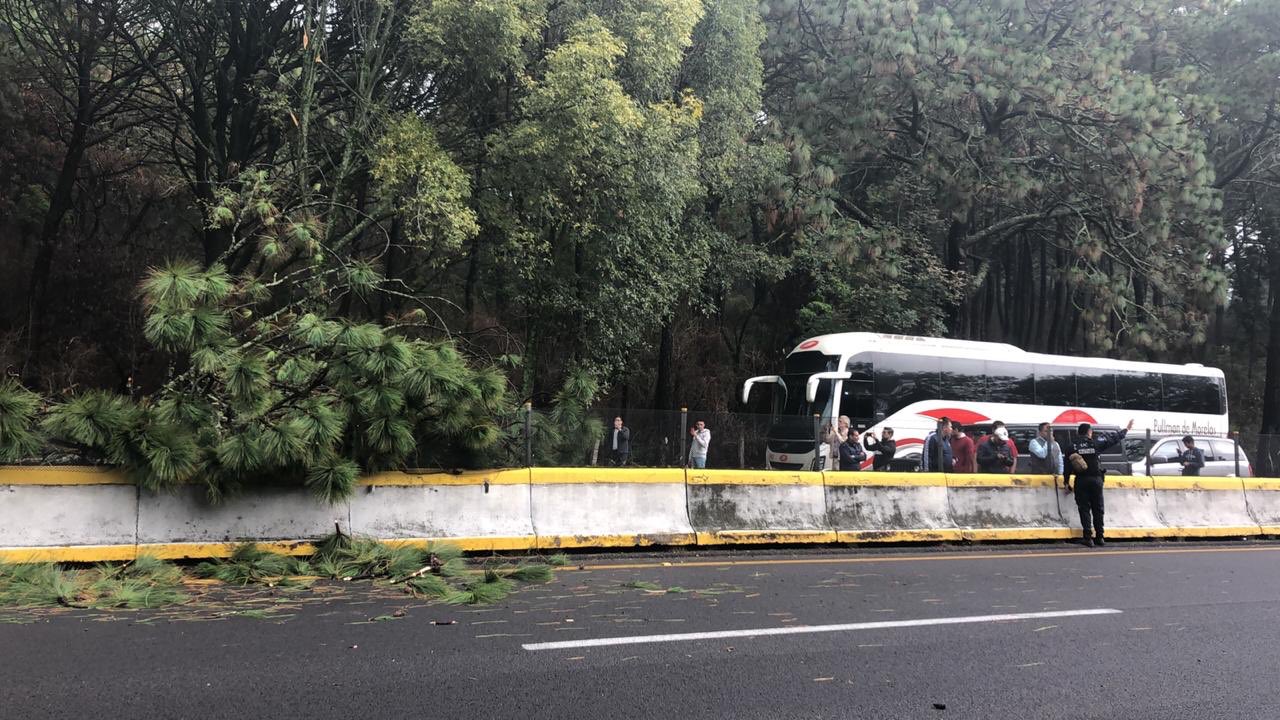 Cierran tránsito en la México-Cuernavaca por caída de árbol