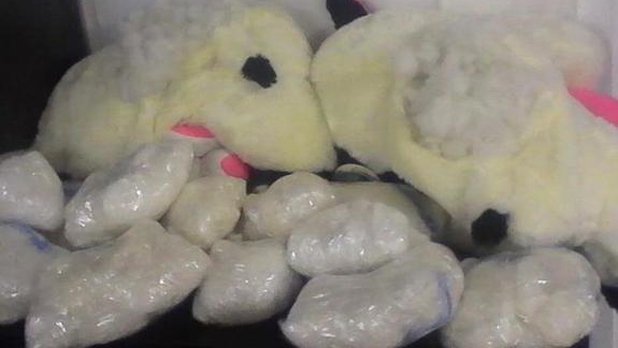 Encuentran droga adentro de muñecos de peluche en CDMX