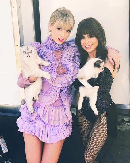 ¿Adoras los gatos? ? Estos famosos también