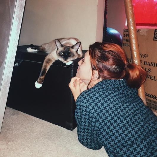 ¿Adoras los gatos? ? Estos famosos también
