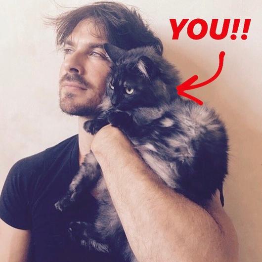 ¿Adoras los gatos? ? Estos famosos también