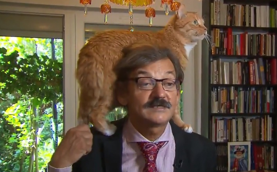 Gato sube a la cabeza de su amo mientras daba una entrevista [VIDEO]