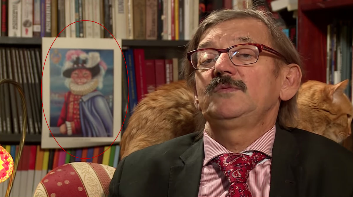 Gato sube a la cabeza de su amo mientras daba una entrevista [VIDEO]