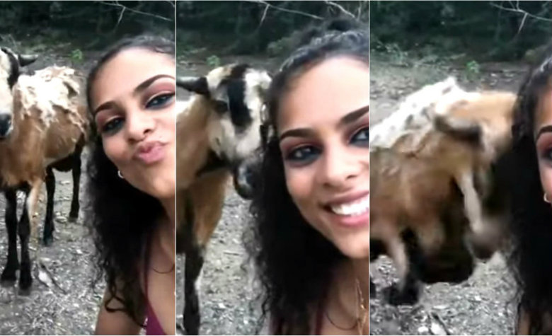 Chica intenta tomarse 'selfie' con una cabra y la golpea en la cabeza