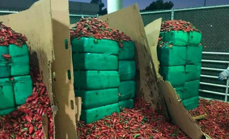 Decomisan más de tres toneladas de mariguana oculta en cargamento de chiles