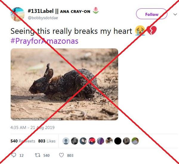Las fotos falsas que circulan sobre los incendios en el Amazonas