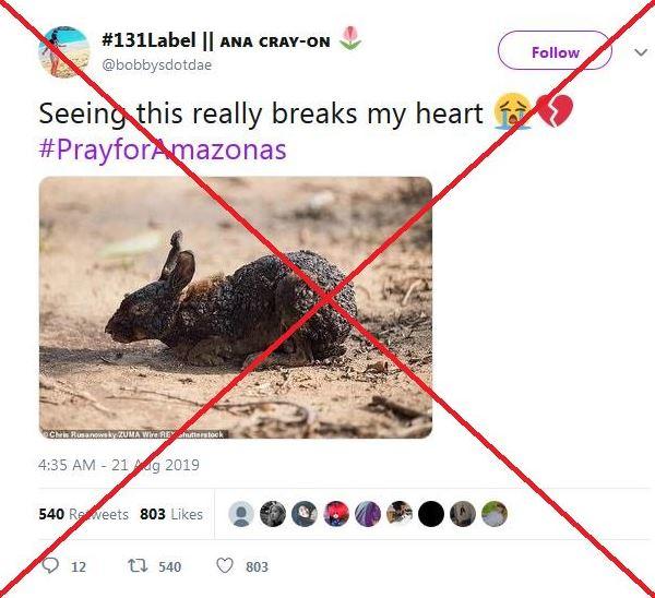 Amazonas: las fotos falsas que circulan sobre los incendios