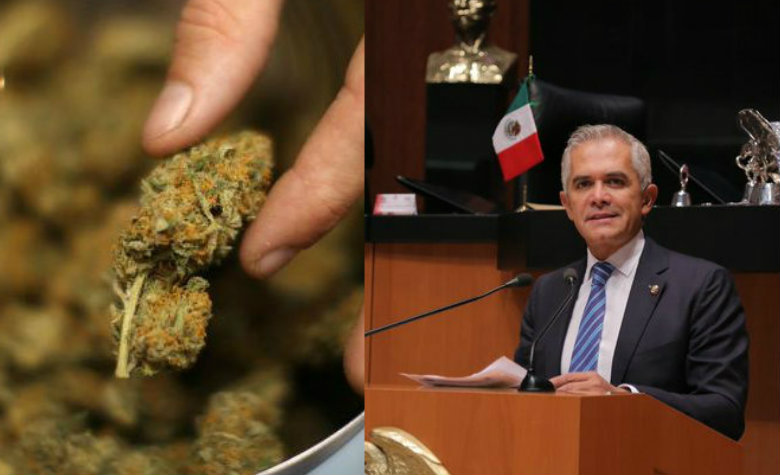 Uso lúdico de mariguana podría ser legal; PRD presenta iniciativa