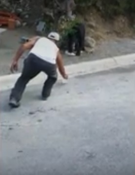 Conoce la historia de la inseparable amistad entre un oso y un tigre (VIDEO)
