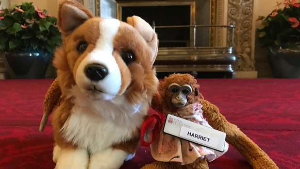 La reina Isabel regresó un peluche olvidado a una niña australiana