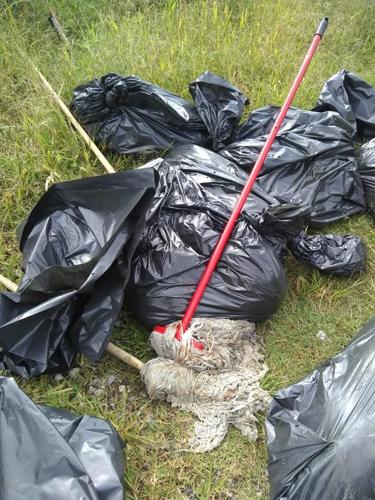 Localizan 17 bolsas con restos humanos en Tala