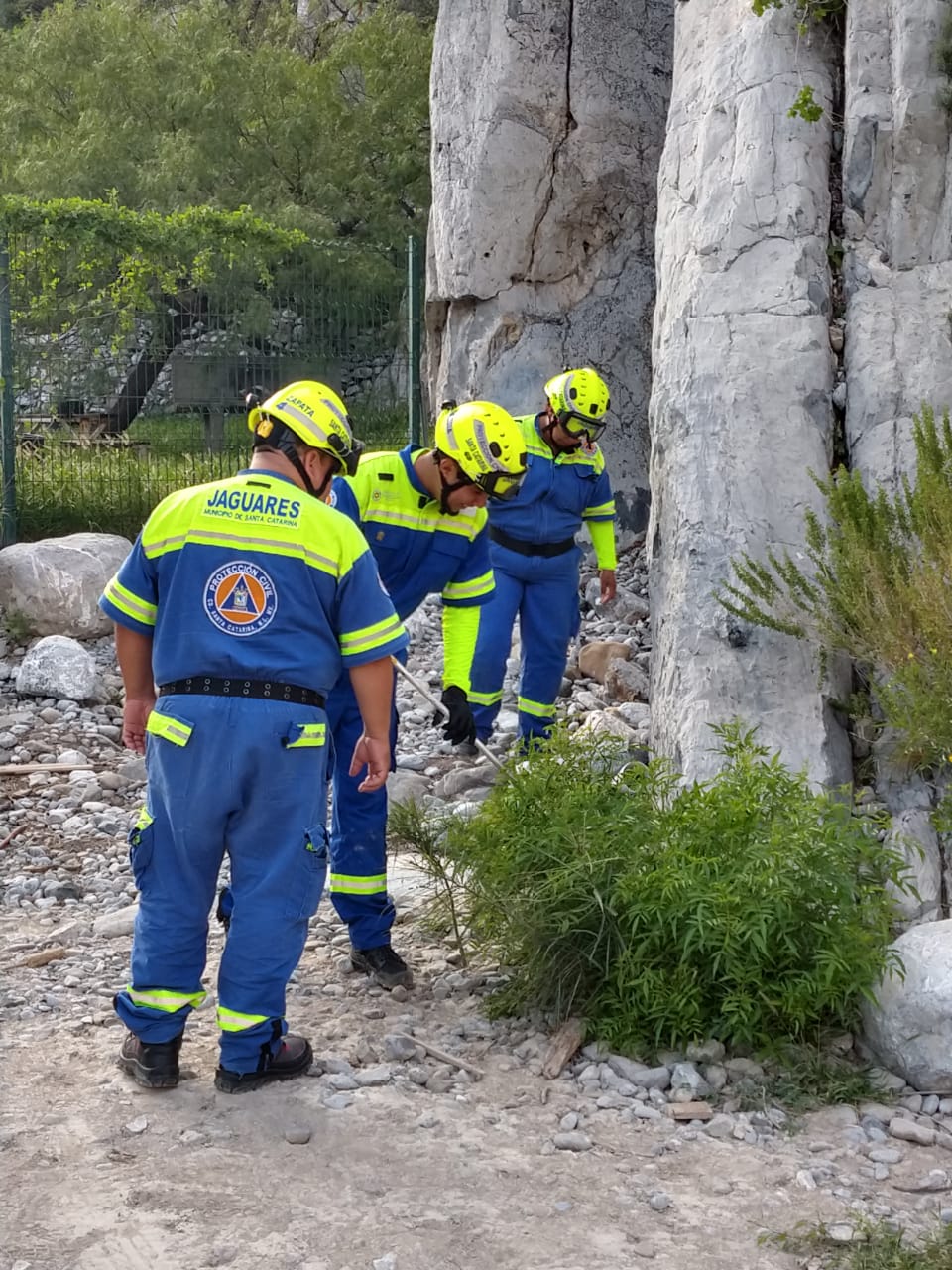 Dan recomendaciones tras avistamiento de víboras en la Huasteca 