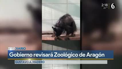 Telediario noticia 
