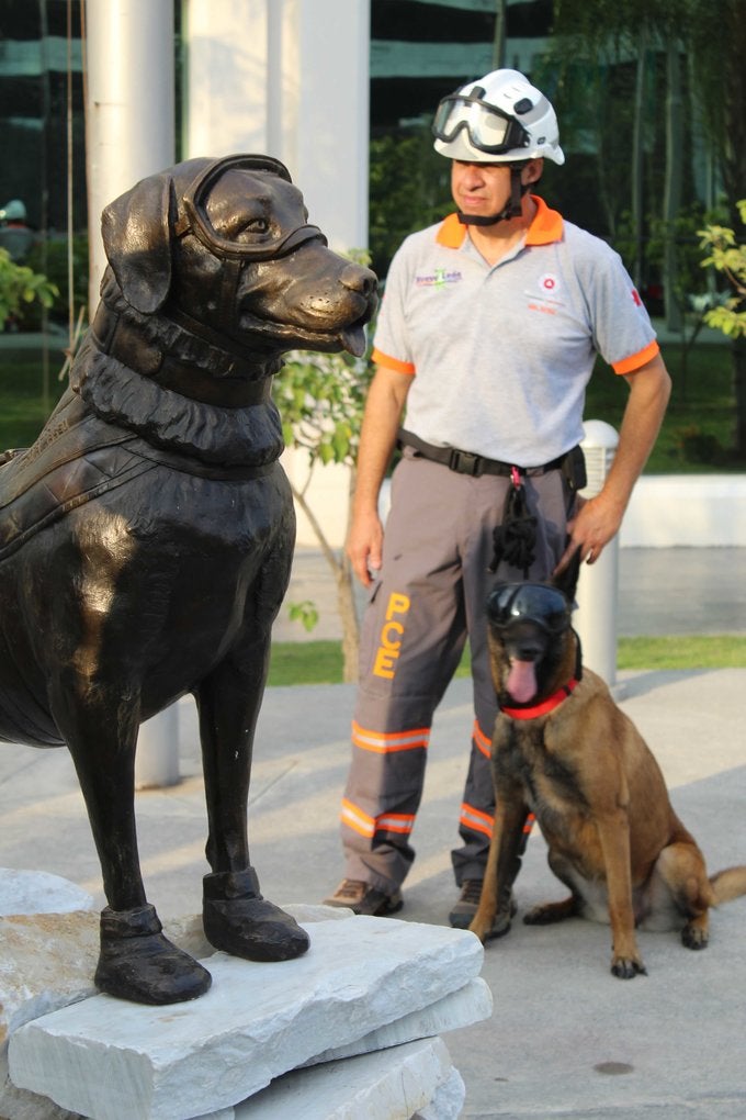 Estatua de Frida, la perrita rescatista, es develada en Nuevo León.