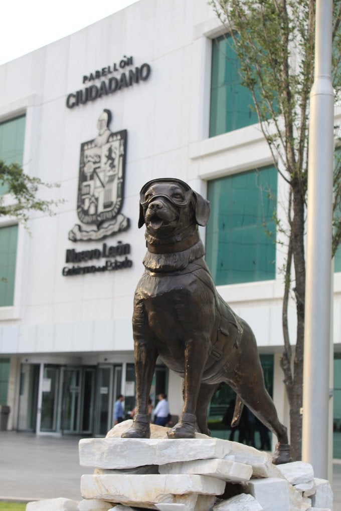 Estatua de Frida, la perrita rescatista, es develada en Nuevo León.
