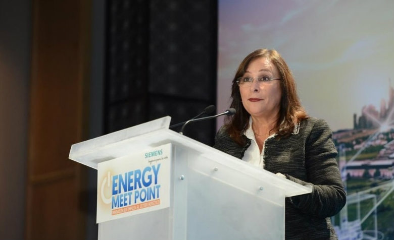 Proyectos de infraestructura con IP en sector energético, ya están definidos: Nahle