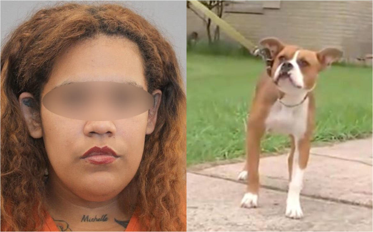 Mujer le dispara a su hijo por error al intentar herir a un perro