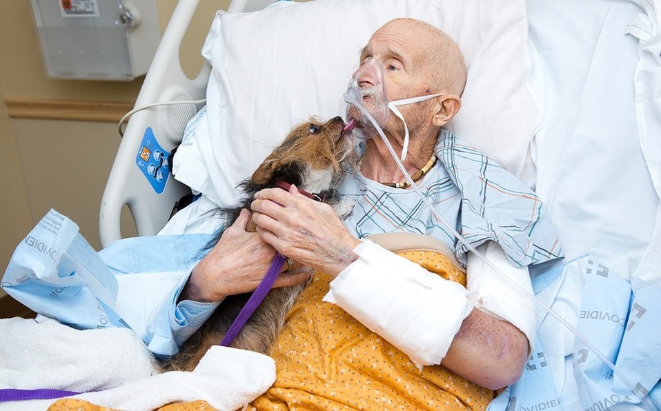 Veterano de guerra pide ver a su perro como último deseo