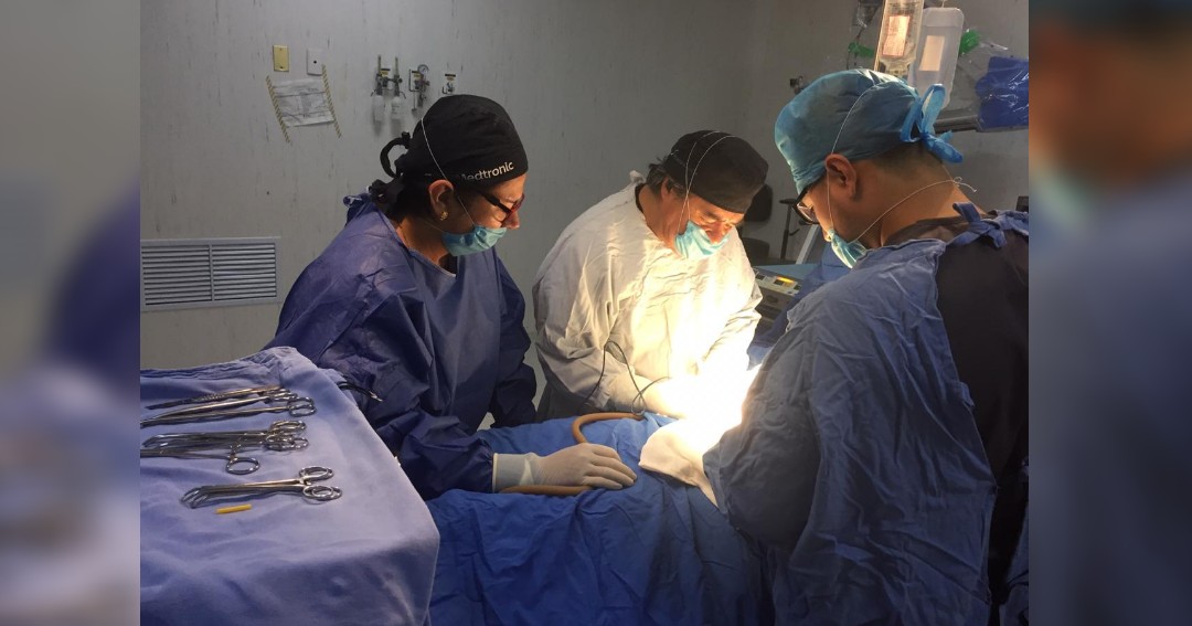 Realizan procuración de órganos en IMSS de León&nbsp;