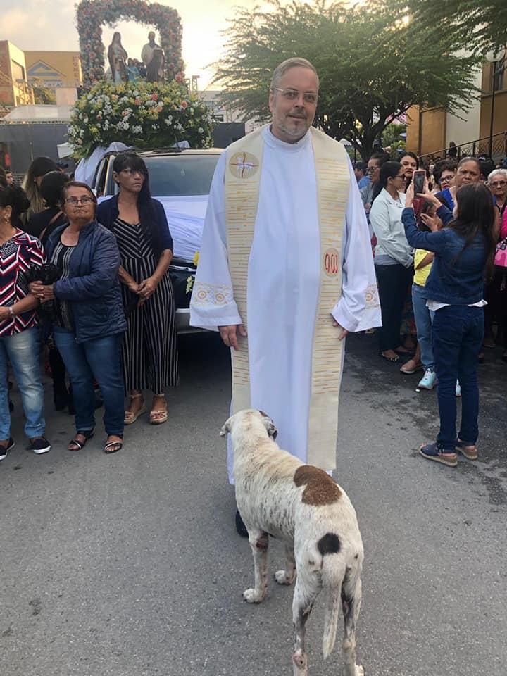 Sacerdote 'invita' a perritos callejeros a misa para que los adopten