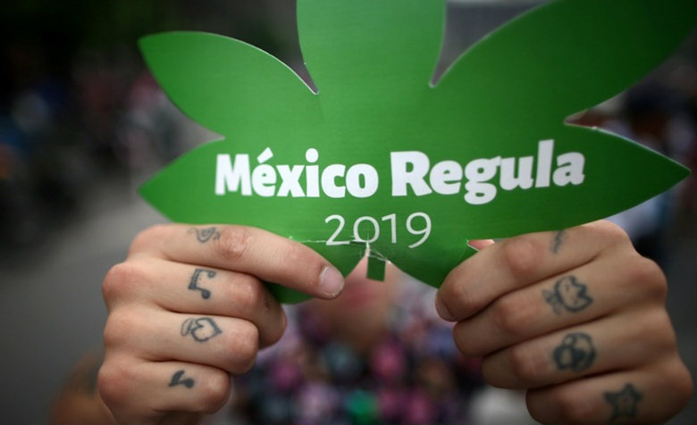 Acusan que farmacéuticas "influyen para frenar" regulación de cannabis