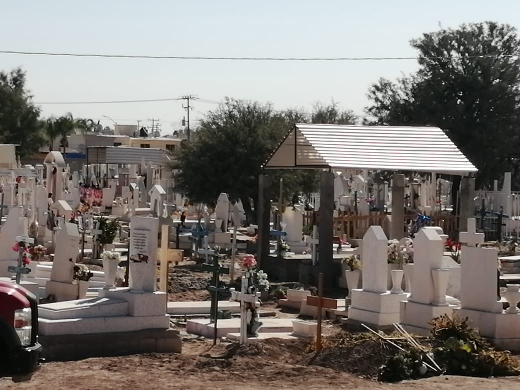 Dos personas graves por picaduras de abeja en panteón de Torreón; uno con inflamación en rostro y cráneo