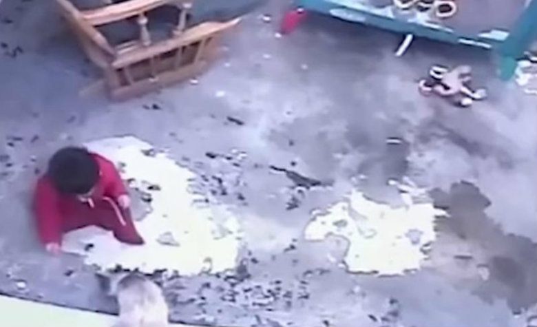 Gata salva a un bebé de caer por las escaleras [VIDEO]

 