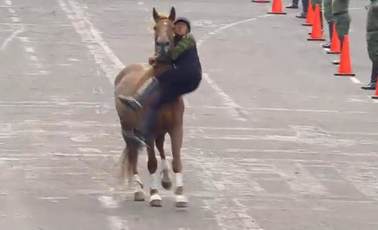 Jinete y caballo sufren accidente durante desfile de la Revolución Mexicana [VIDEO]
