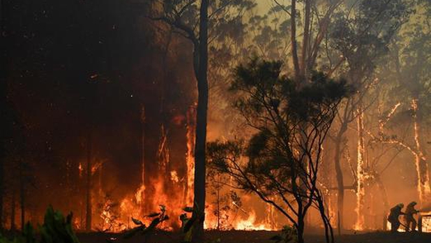 Incendios forestales en Australia 'cubren' a Sídney de humo