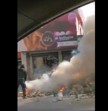 Cucarachas, ratas y ratones anidan en predio abandonado
 