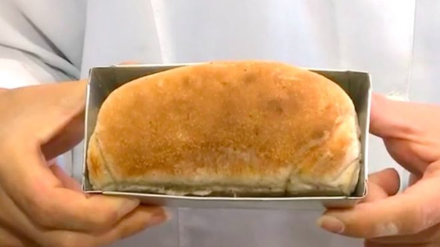 Este pan está hecho de cucarachas y es muy nutritivo