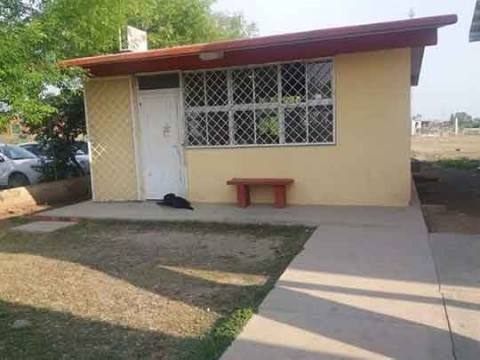 Perrito sigue a su dueño a la escuela y se asoma por la ventana para verlo