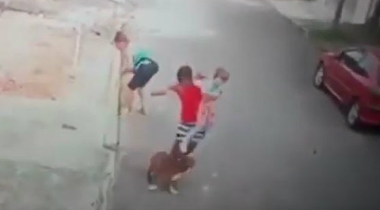 Joven salva a niño del ataque de un pitbull (VIDEO)