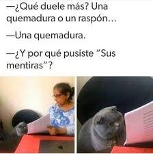 Estos son los memes que nos hicieron reír durante 2019