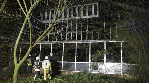 Mueren décenas de animales en Alemania por incendio en un zoológico