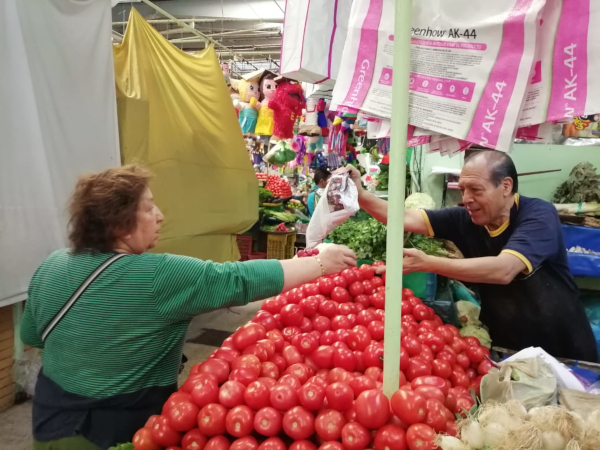 Papel sustituye al plástico ante prohibición en Mercados de CDMX [FOTOS]