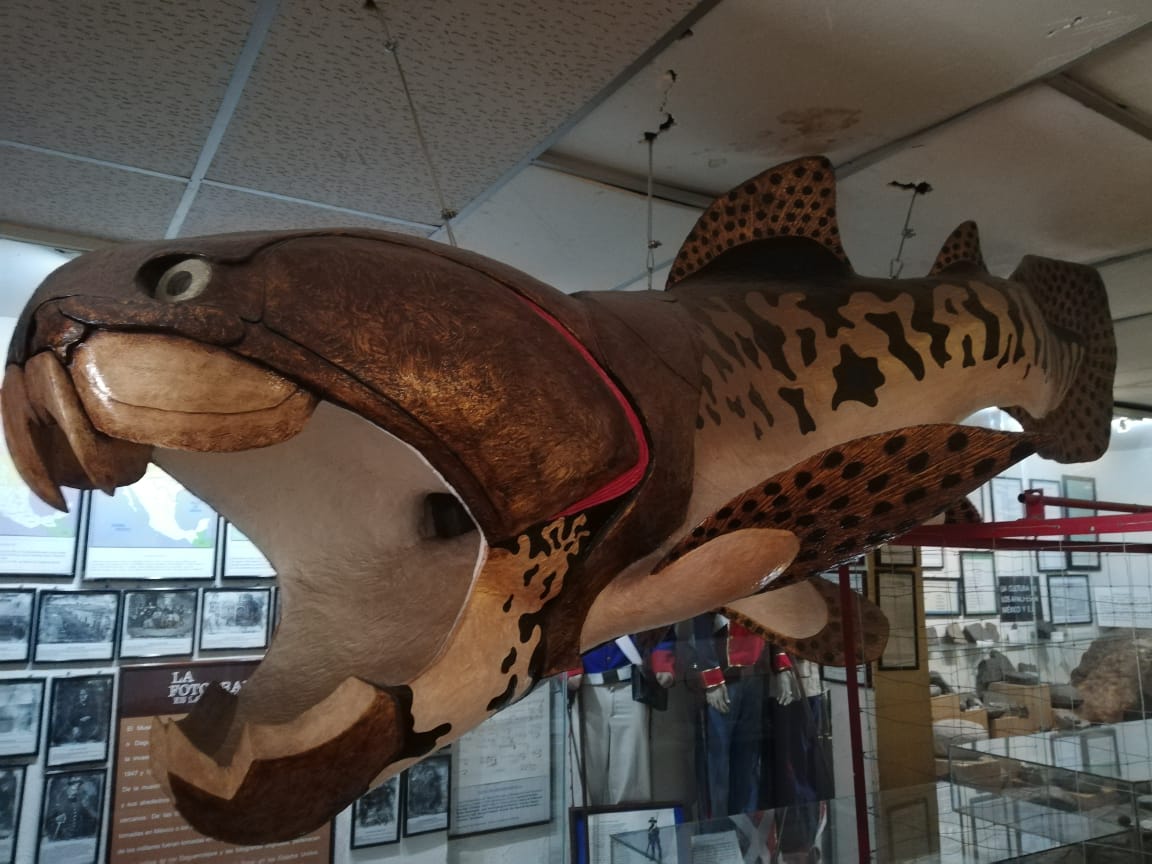 Museo Paleontológico de La Laguna; un sitio donde lagunero plasma su arte