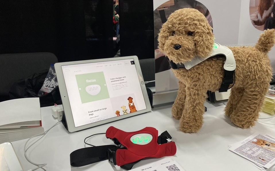 Este es el gadget que te permitirá comunicarte con tu perro [VIDEO]