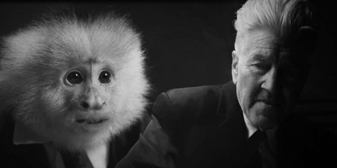 Celebra David Lynch su cumpleaños... ¿interrogando a un mono?