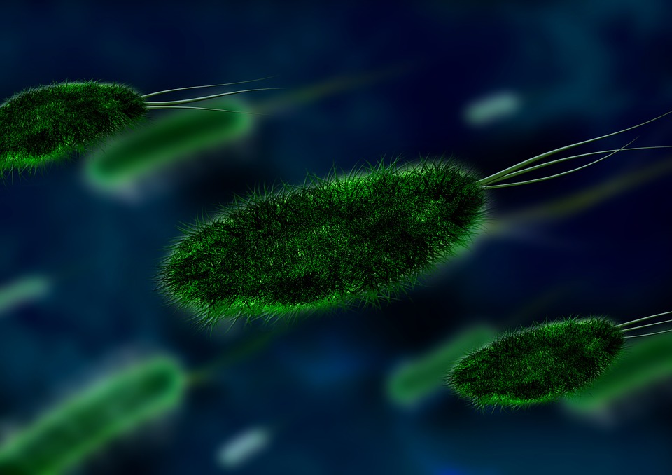 Más de 30 virus congelados podrían liberarse por el calentamiento global