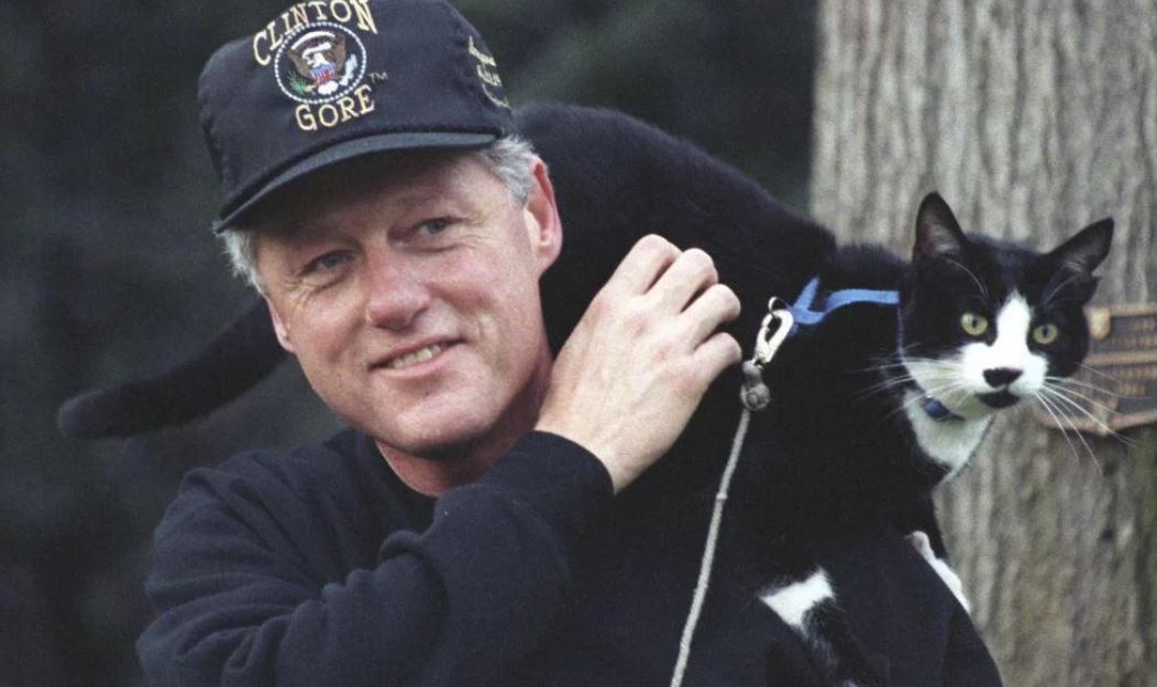 Socks, el minino de los Clinton que inspiró el Día Internacional del Gato