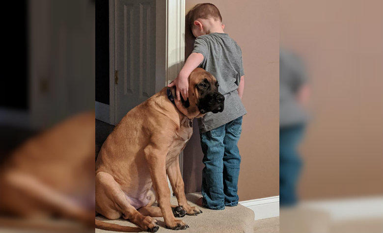 Amor nivel: Perrito acompaña a niño durante su castigo