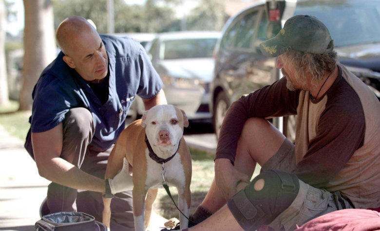 Veterinario atiende gratis a mascotas de personas en situación de calle (VIDEO)
