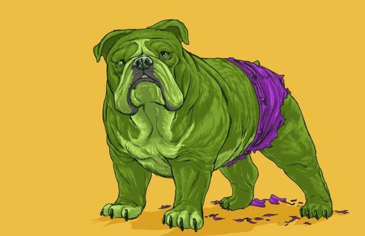 Versión perruna de los superhéroes