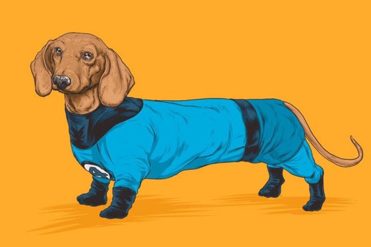 Versión perruna de los superhéroes