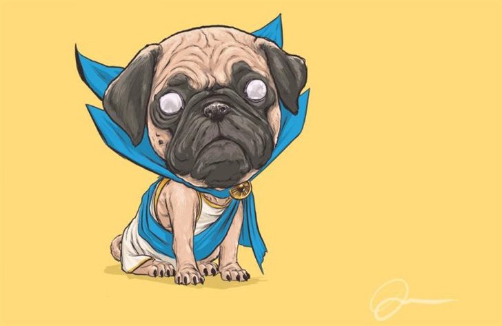 Versión perruna de los superhéroes